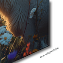 Glasschilderij - Exclusive - Liggend - Schapenliefde