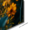 Glasschilderij - Exclusive - Liggend - Natuur Florale Fluistering