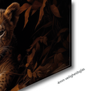 Glasschilderij - Exclusive - Liggend - Leeuwenfamilie Leeuwin 2 Welpen