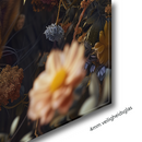 Glasschilderij - Exclusive - Liggend - De Zonnekoning Leeuw