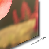 Glasschilderij - Exclusive - Liggend - Roos Bloemen