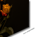 Glasschilderij - Exclusive - Liggend - Gouden Hart