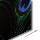 Glasschilderij - Exclusive - Staand - Oase