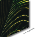 Glasschilderij - Exclusive - Staand - de Zandzee