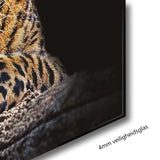 Glasschilderij - 150x100 / 120x80cm - Exclusive - Dieren - Panter Oliva