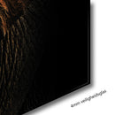 Glasschilderij - 80x120cm - Dieren - Olifant Ravi