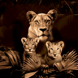 Glasschilderij - 150x100 / 120x80cm - Exclusive - Dieren - Lynn Leeuwen Familie Welpjes - 1, 2, 3, 4, 5 Welpen