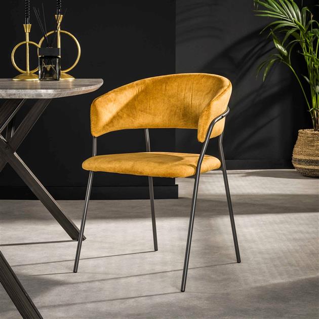 Modera - Armstoel club. VPE4 - Goudkleurig velours - set van: 4