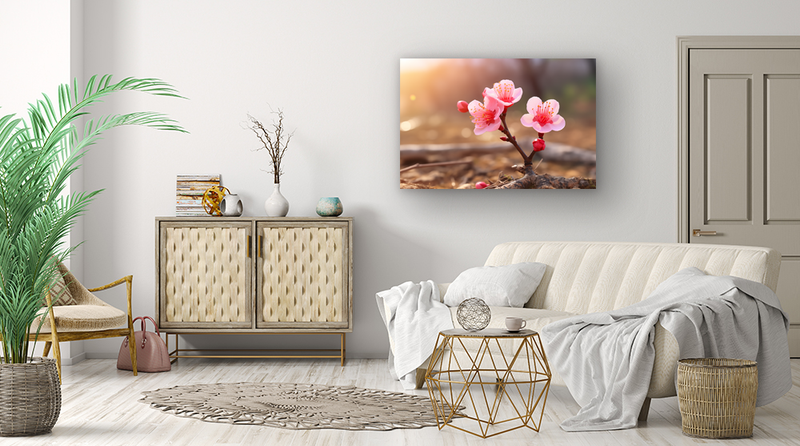 Glasschilderij - Exclusive - Liggend - Kersenbloesem Bloemen