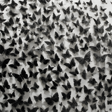 Glas schilderij hundreds of butterflies