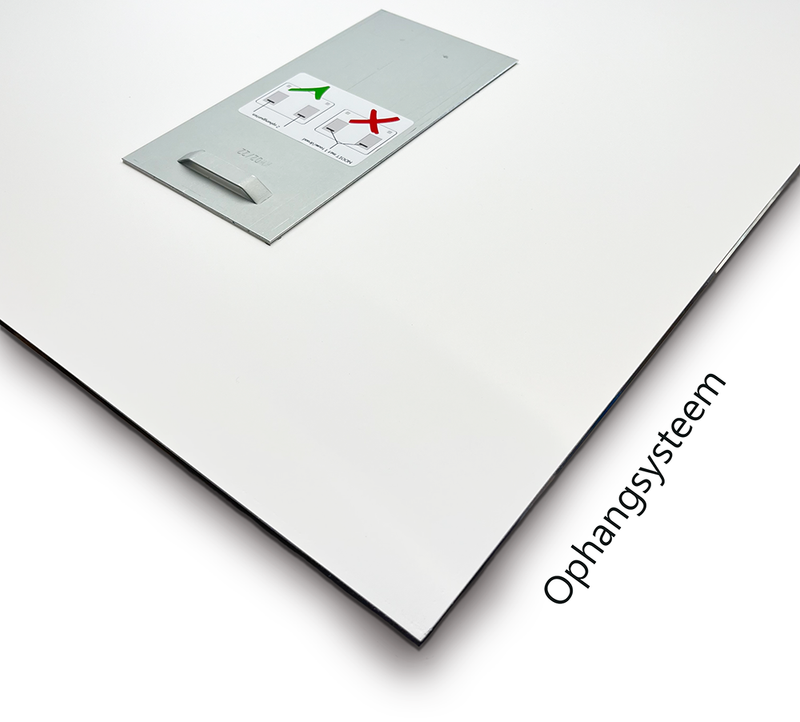 Glasschilderij - Exclusive - Liggend - Leeuwenfamilie Leeuwin 2 Welpen