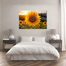 Glasschilderij - Exclusive - Liggend - Zonnebloem