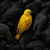 Glasschilderij - Exclusive - Staand - de Vlakte 100x150x0.4 cm